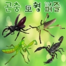 [로봇사이언스몰] 곤충 모형 퍼즐